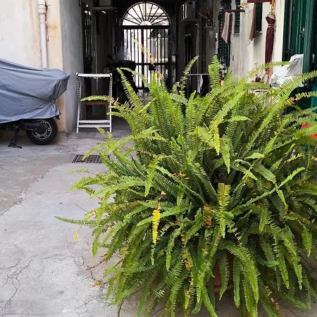 La Riali Old Palermo